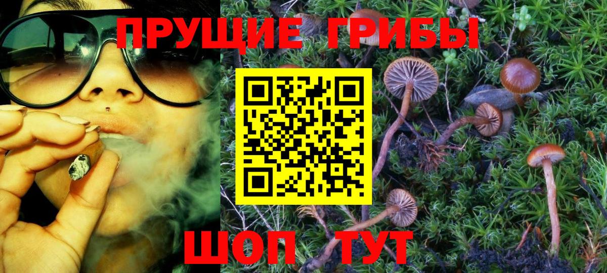Псилоцибиновые грибы Cubensis Ишимбай