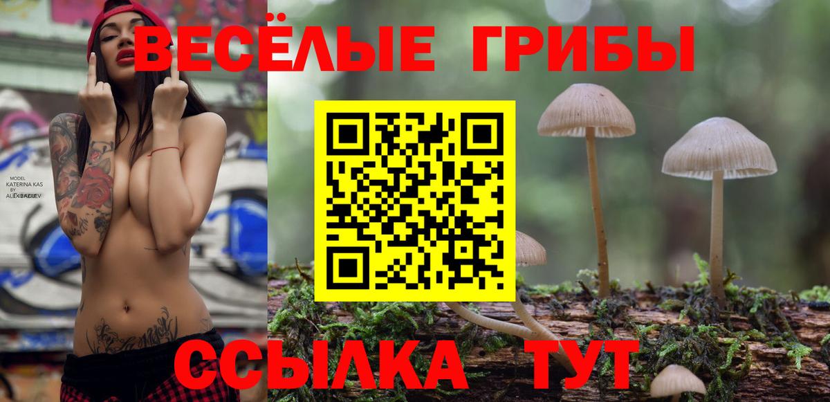 Ишимбай  Псилоцибиновые грибы Magic Shrooms  цены   Вход с VPN 